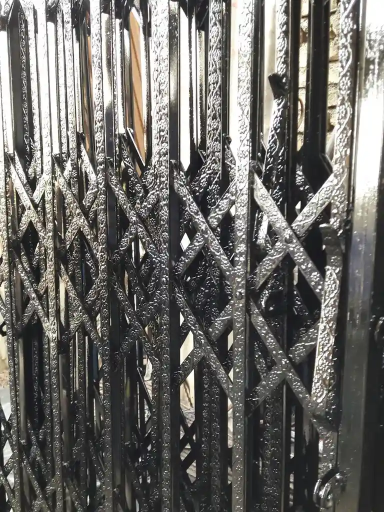 حفاظ آکاردئونی 3 گل سلطنتی