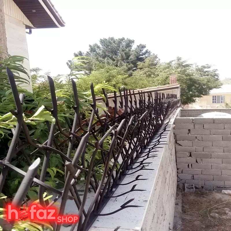 حفاظ شاخ گوزنی کم تراکم