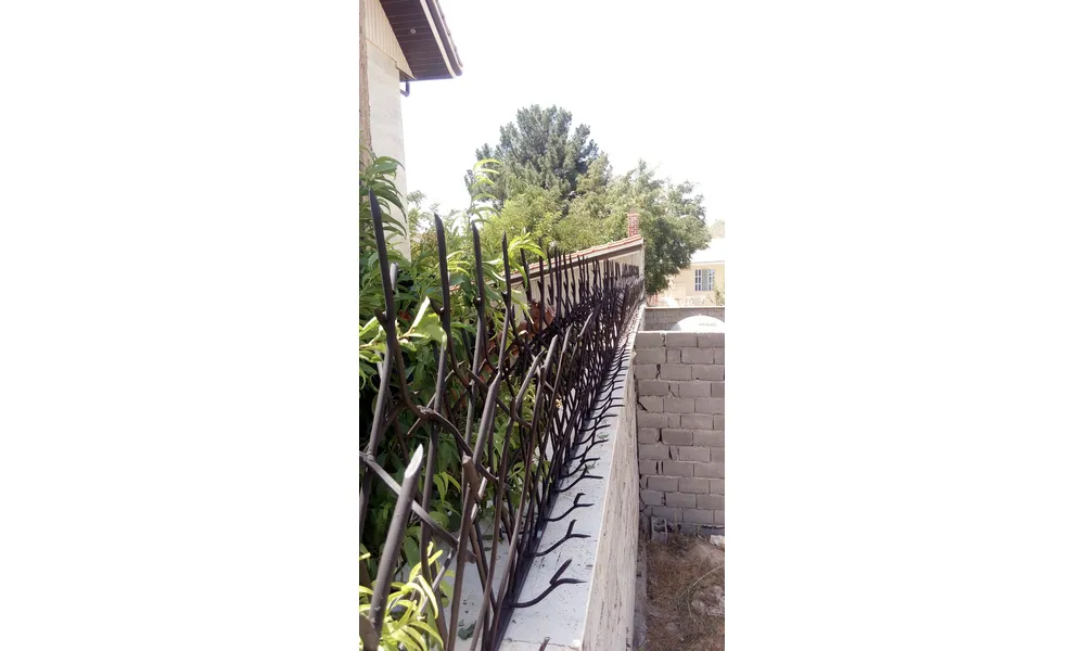 حفاظ شاخ گوزنی نصب شده روی دیوار خانه ویلایی