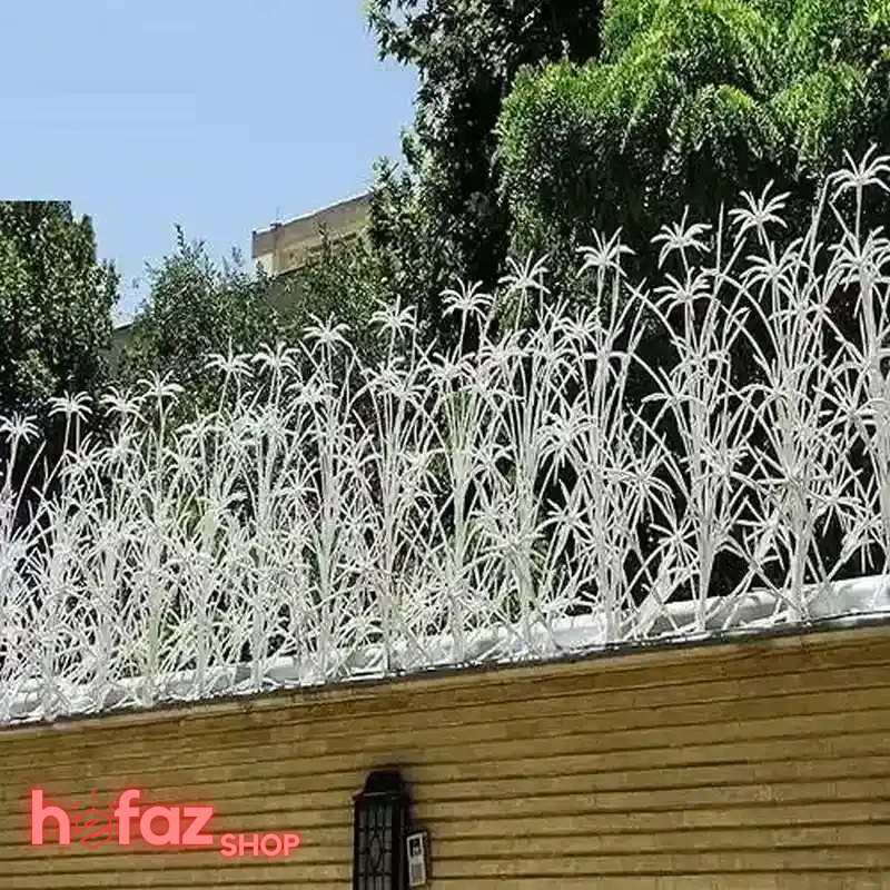 خرید حفاظ دیوار نخل مرداب سه بوته ارتفاع 100