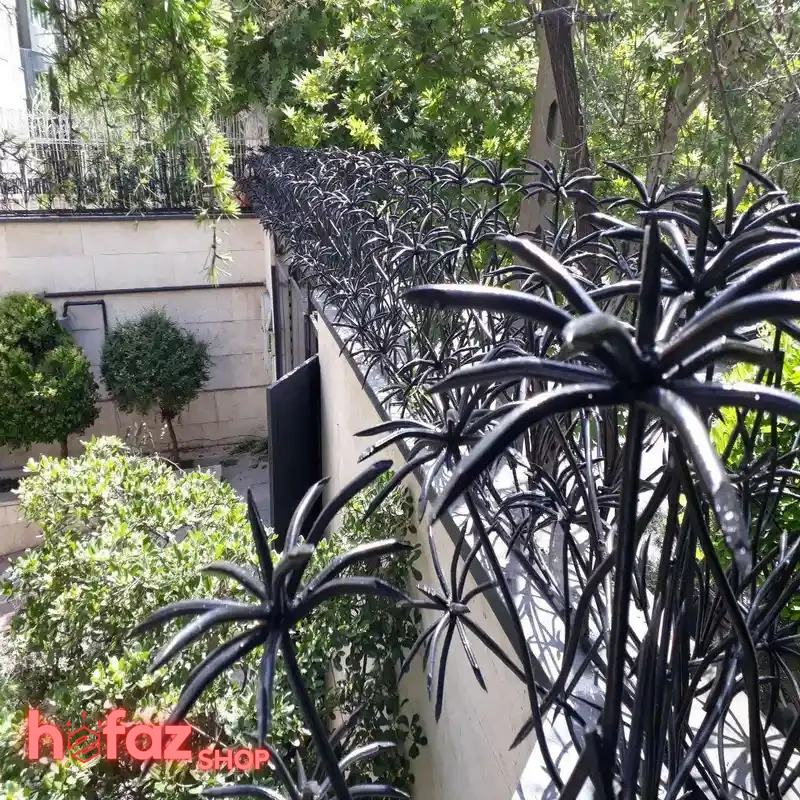 خرید حفاظ دیوار نخل مرداب دو بوته ارتفاع 100