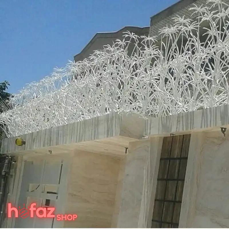 قیمت حفاظ دیوار نخل مرداب دو بوته ارتفاع 100