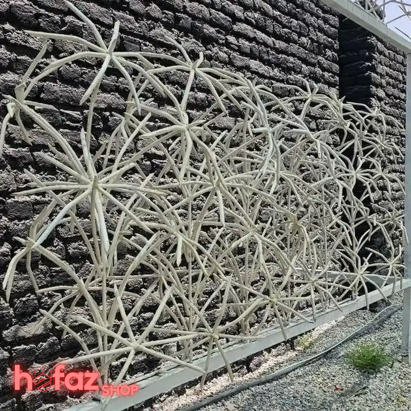 حفاظ دیوار نخل مرداب