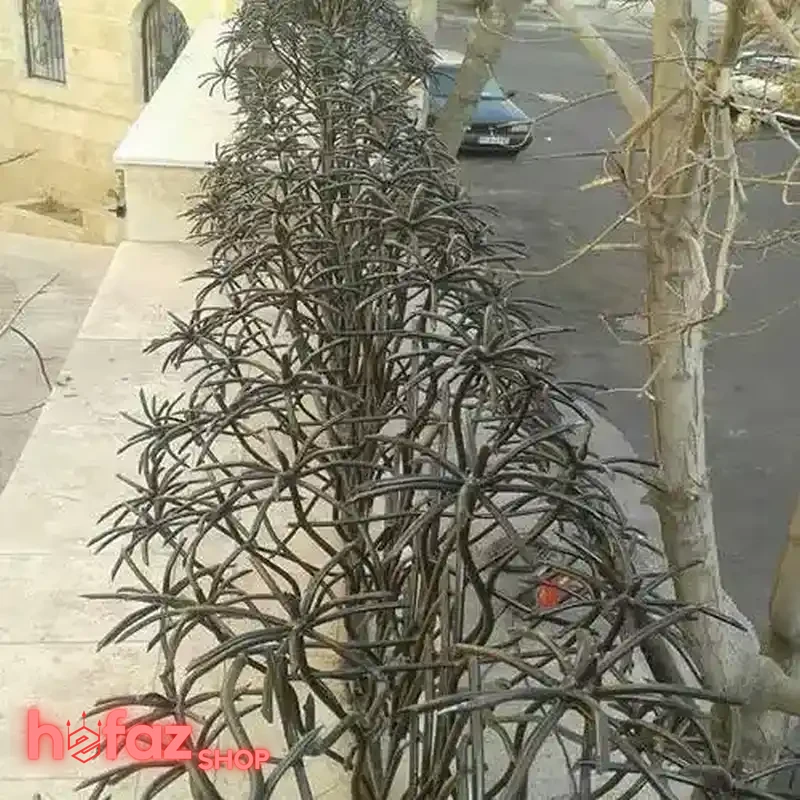 مدل جدید نرده حفاظ نخل مرداب