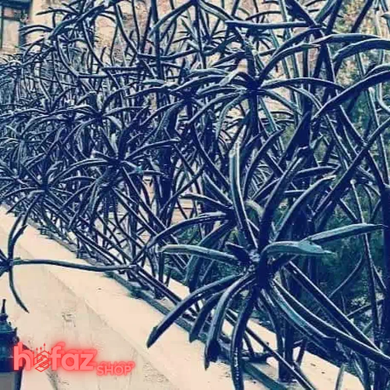 حفاظ نخل مرداب