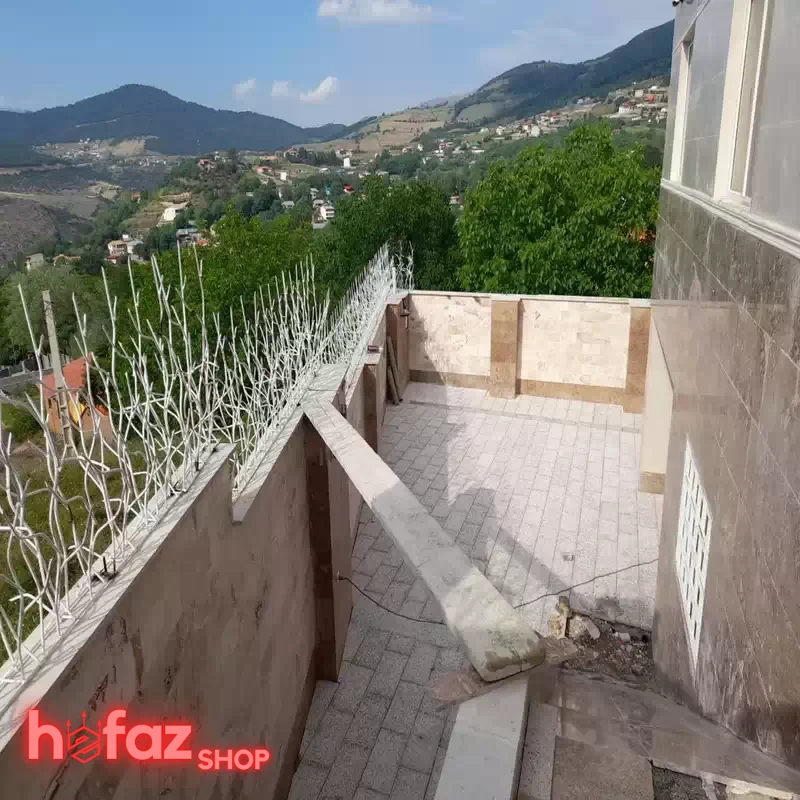 حفاظ شاخ گوزنی نصب شده برای روی دیوار