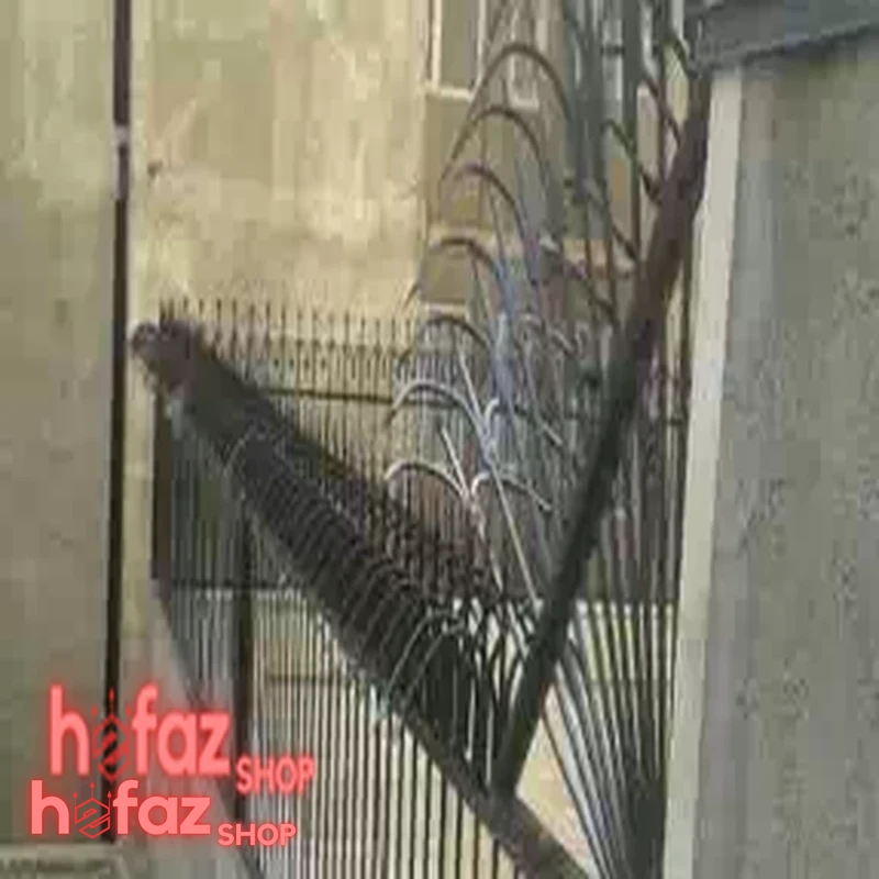 حفاظ سرنیزهای دو طرفه ابشاری