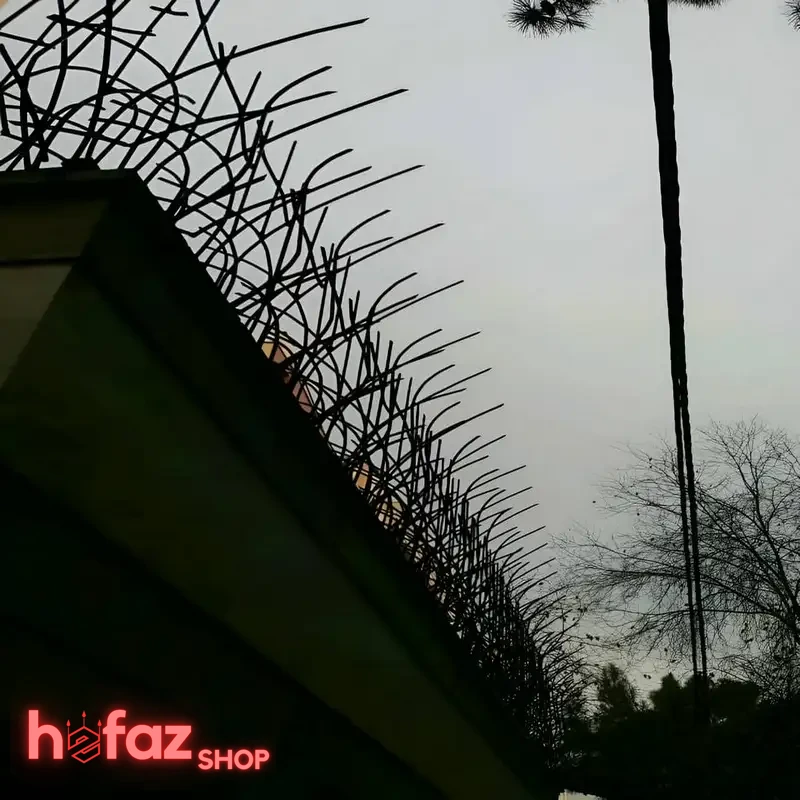 خرید حفاظ نیزاری شلوغ ارتفاع 130