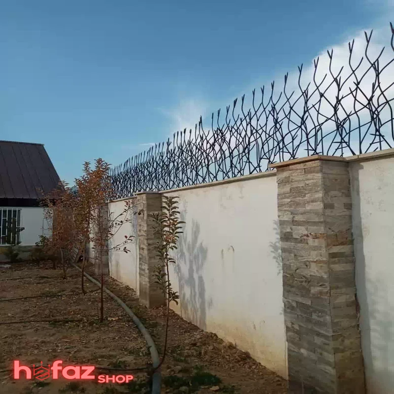 شاخ گوزنی ارتفاع 120 نصب شده بروی دیوار