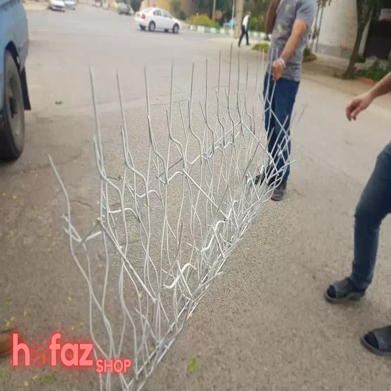 کارگاه تولیدی حفاظ شاخ گوزنی