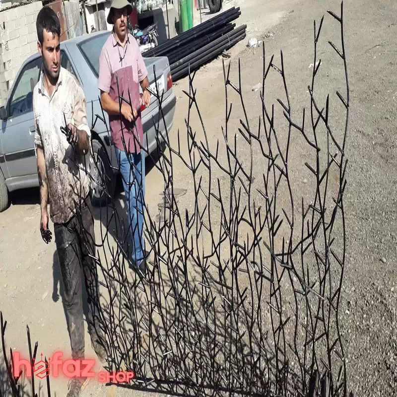 شاخ گوزنی ارتفاع 150