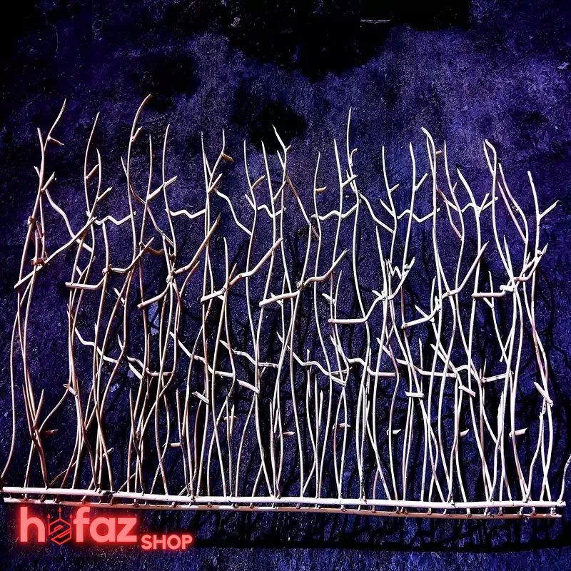 نمای روبرو از حفاظ شاخ گوزنی