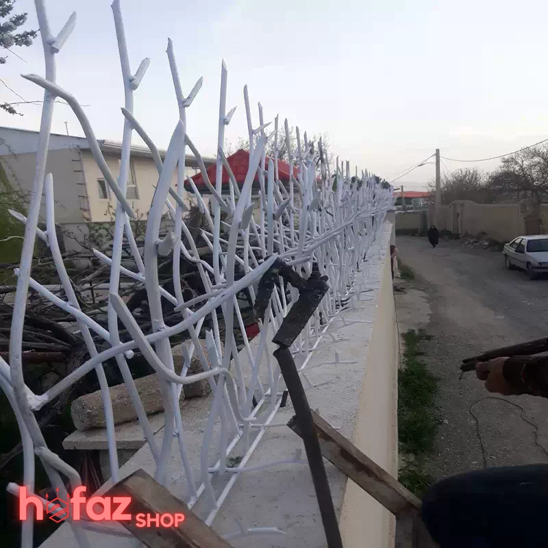 محافظ روی دیوار شاخ گوزنی