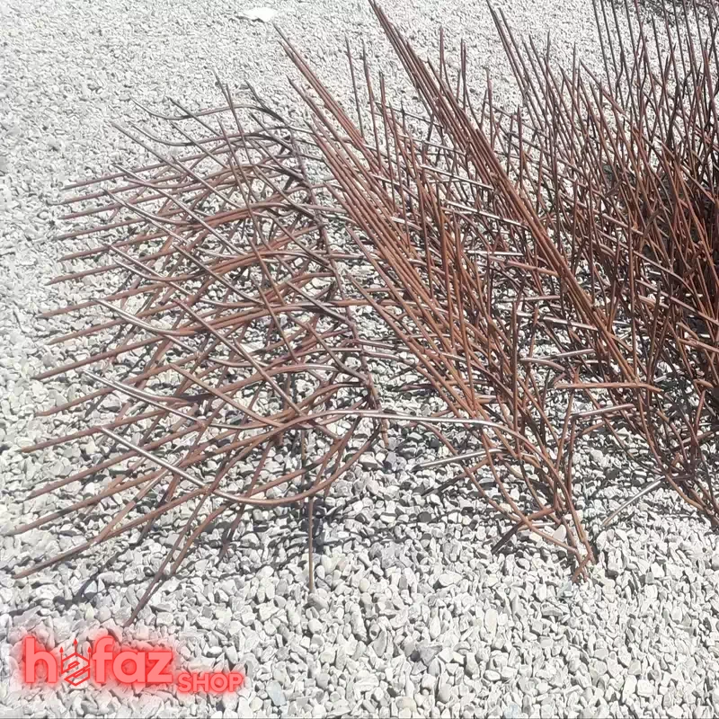 حفاظ شاخ گوزنی رنگ نشده