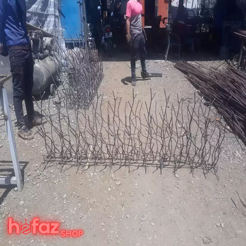 حفاظ شاخ گوزنی با قیمت مناسب