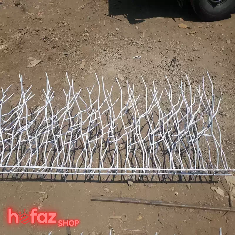 عکس حفاظ شاخ گوزنی