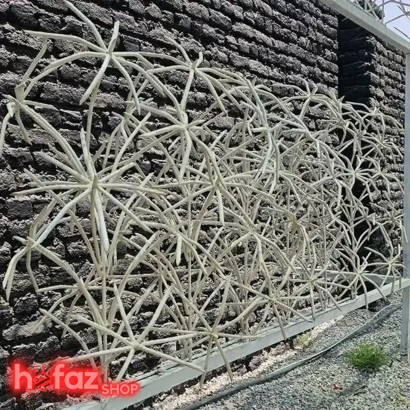 حفاظ دیوار نخل مرداب دو بوته ارتفاع 120