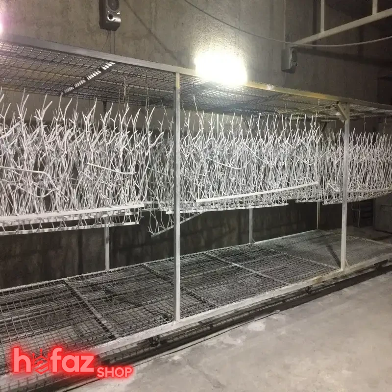 حفاظ شاخ گوزنی تراکم 30 ارتفاع 130