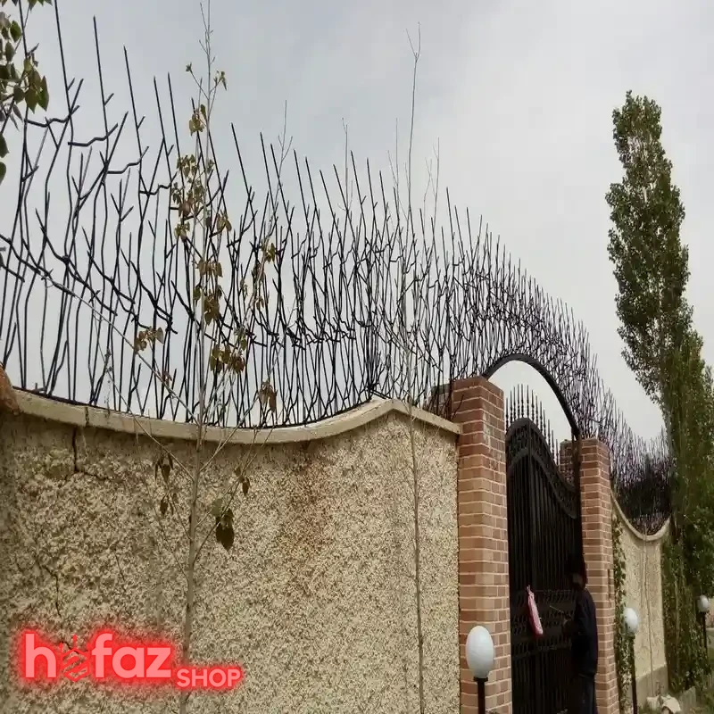 حفاظ شاخ گوزنی تراکم 30 ارتفاع 50