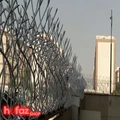 حفاظ شاخ گوزنی تراکم 38 ارتفاع 50