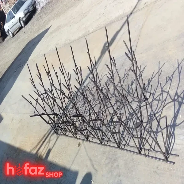 حفاظ شاخ گوزنی تراکم 40 ارتفاع 150