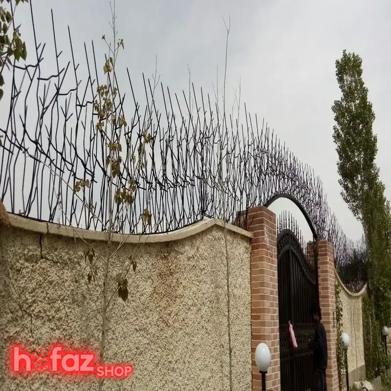 حفاظ شاخ گوزنی تراکم 40 ارتفاع 150