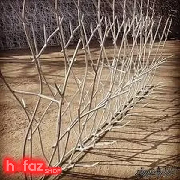 حفاظ بوته ای سنگین ارتفاع 100