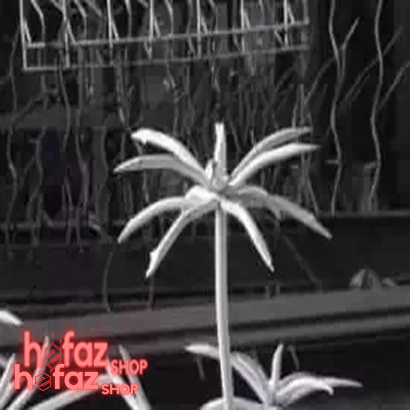 نرده نخل مرداب