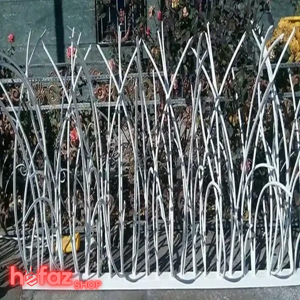 حفاظ نیزاری خلوت