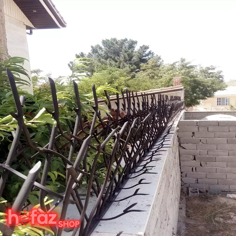 حفاظ شاخ گوزنی ارتفاع 50 تراکم 20