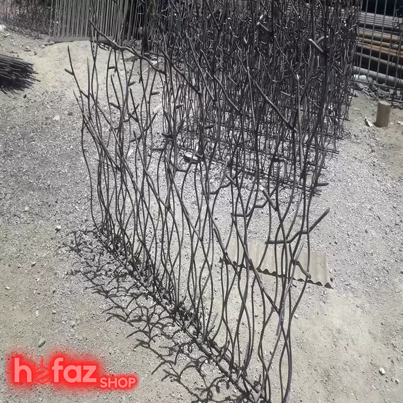 حفاظ شاخ گوزنی