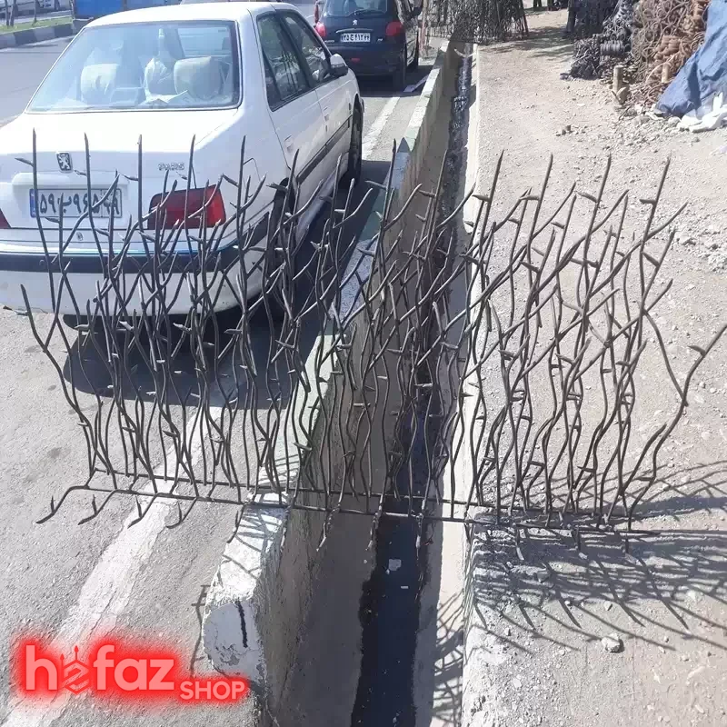 حفاظ شاخ گوزنی